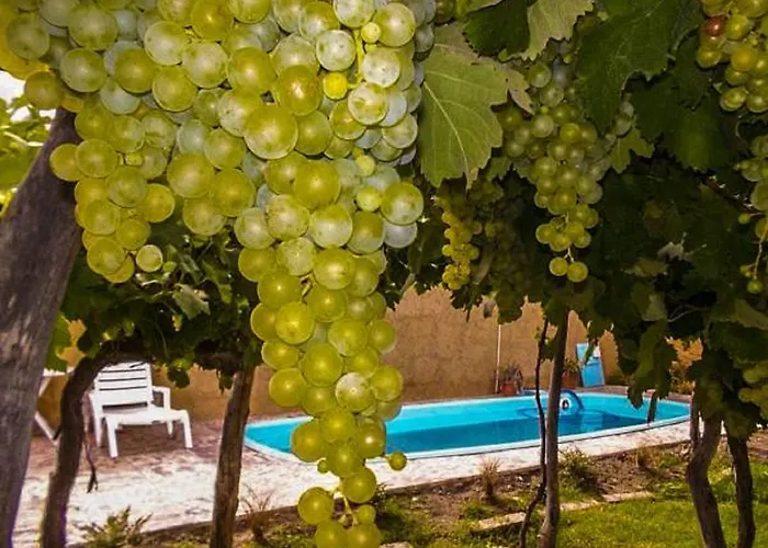 Hostal Tierra De Vinos
