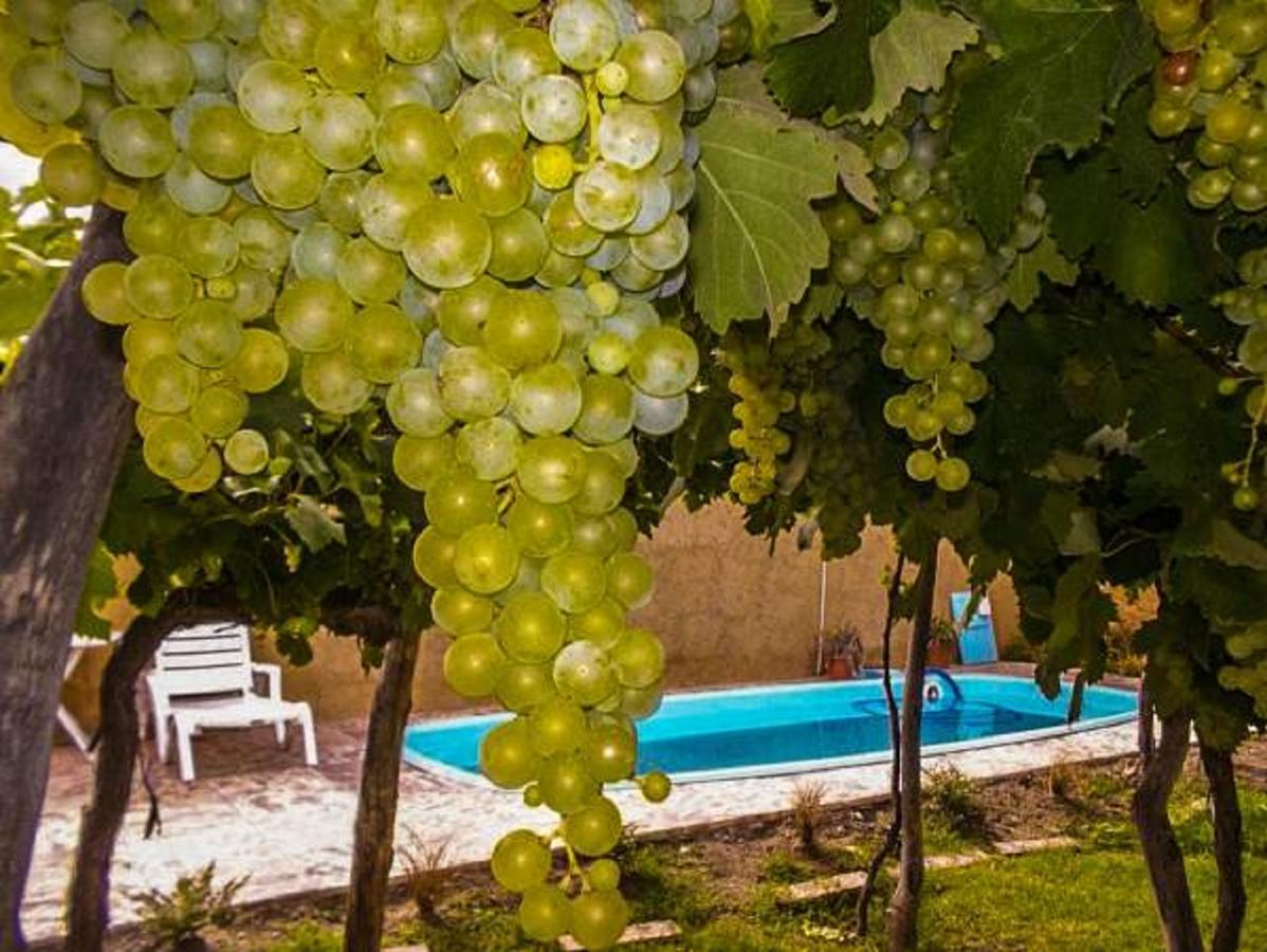 Tierra De Vinos 2*